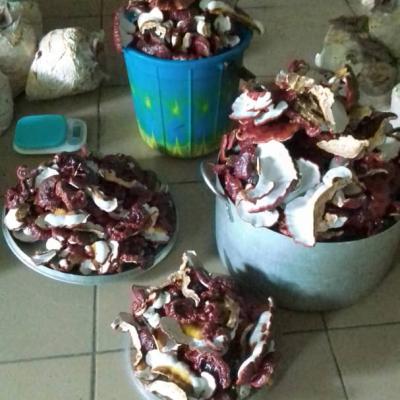 Img 20240131 Wa0048